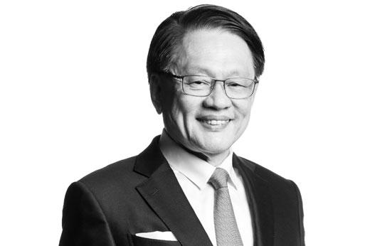 Mr Lim Ah Doo. 推荐买球平台公司董事长、非执行董事和独立董事 